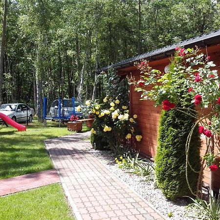 Rossa - Domki Letniskowe Miedzywodzie Exterior photo